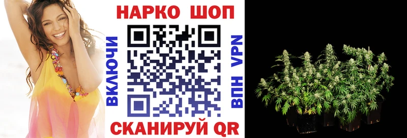 Купить наркотики цена Светлогорск Бошки Шишки  Меф мяу мяу  ТГК  ГАШИШ  Кокаин  APVP 