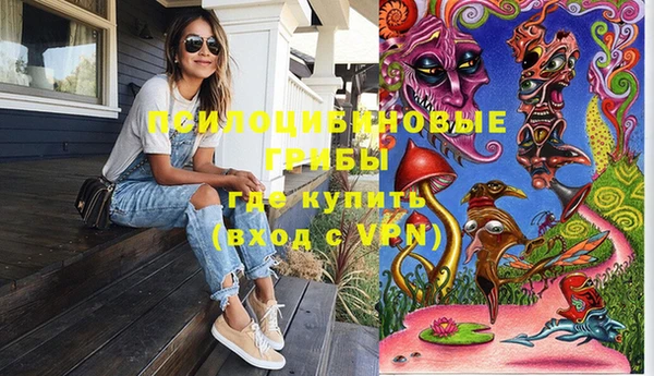 тгк Армянск