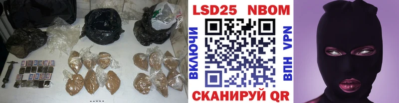 МЕГА зеркало  цена наркотик  Светлогорск  ЛСД экстази ecstasy 