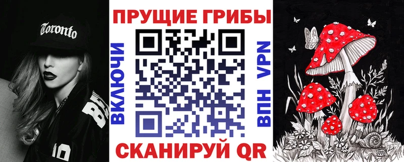 Псилоцибиновые грибы Psilocybe  сколько стоит  Светлогорск 